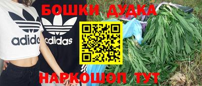 jwh Новокубанск
